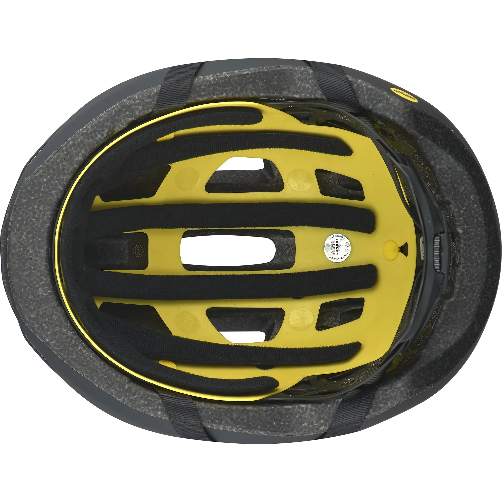 Align II - Image 8