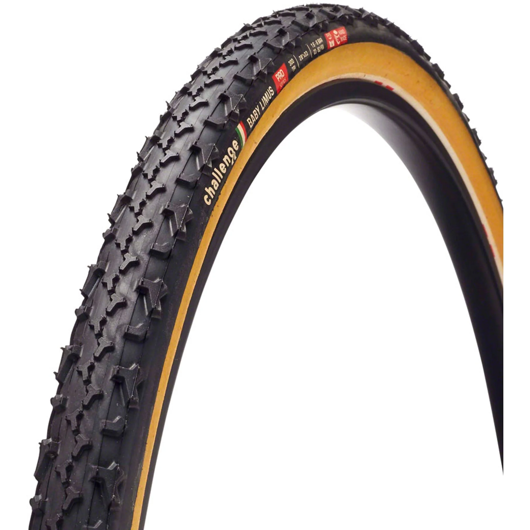 Baby Limus Tire - Image 2