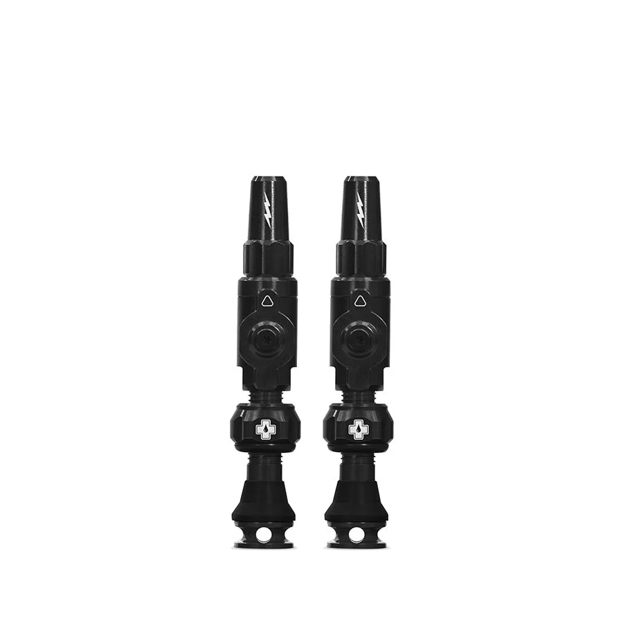 Big Bore Lite Tubeless Valve Stems