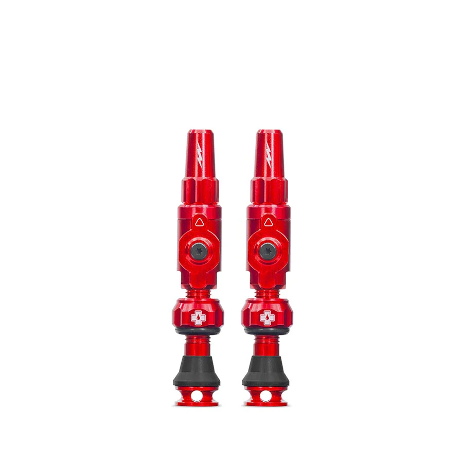 Big Bore Lite Tubeless Valve Stems - Image 3