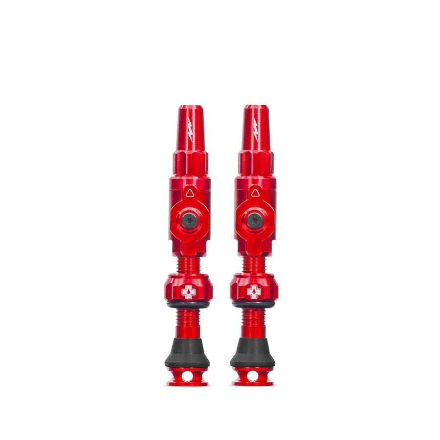 Big Bore Lite Tubeless Valve Stems - Image 9
