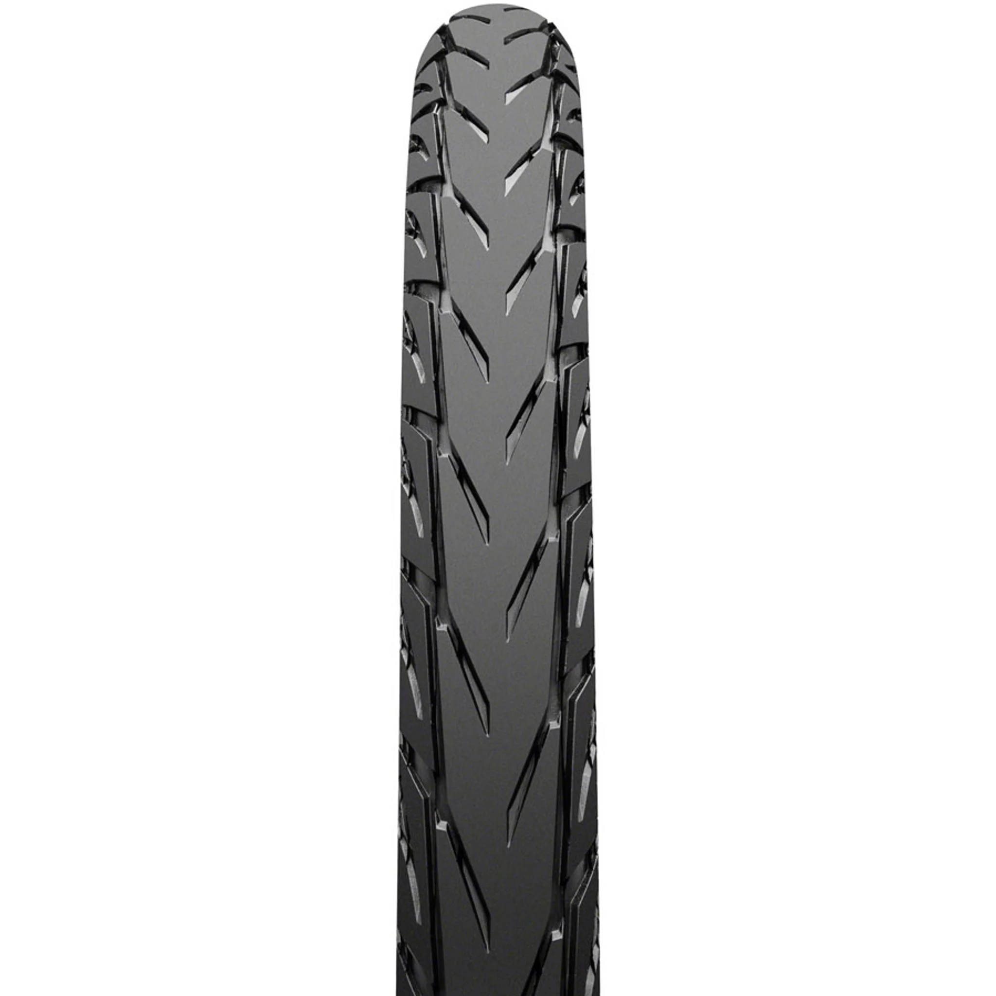 Contact Plus City Tire - Image 2