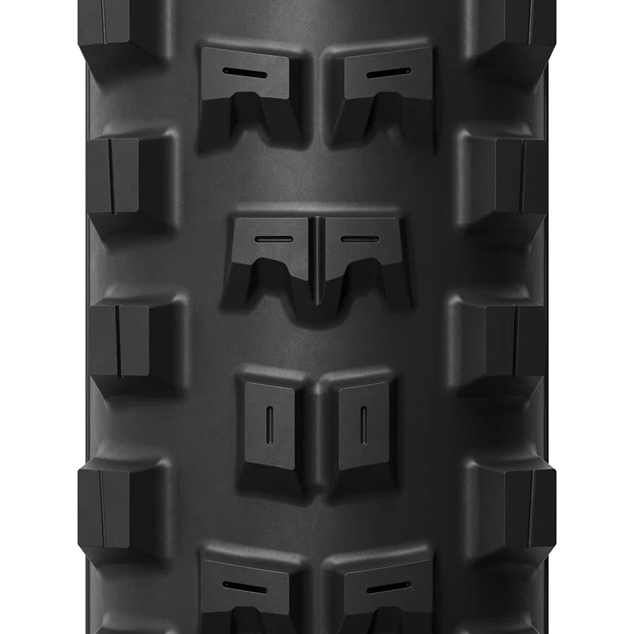 DH16 DARK - Image 4
