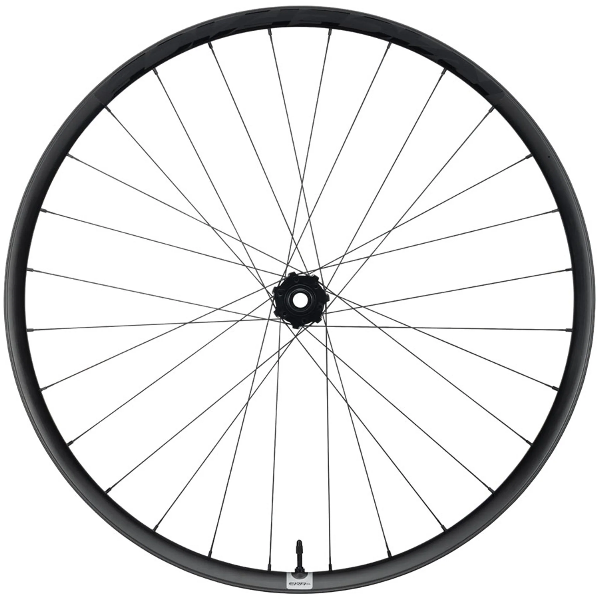 Era SL Front Wheel - 29", 15 x 110mm, 6-Bolt, Carbon Black