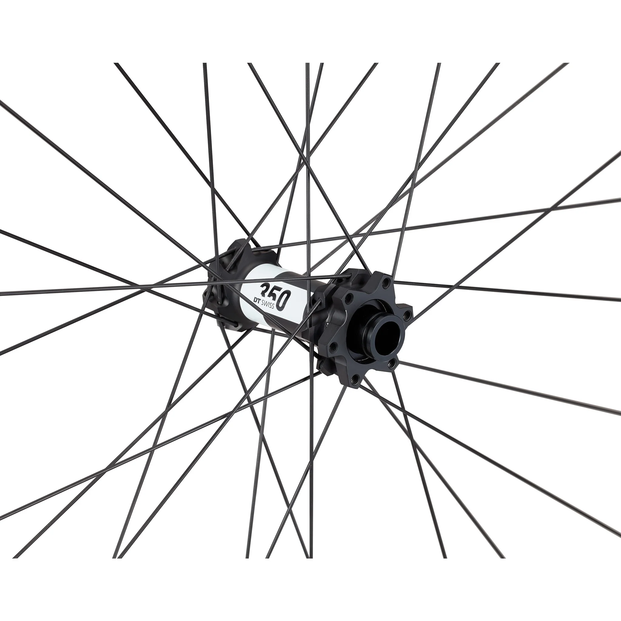 Roval Control Alloy 350 6B - Image 3