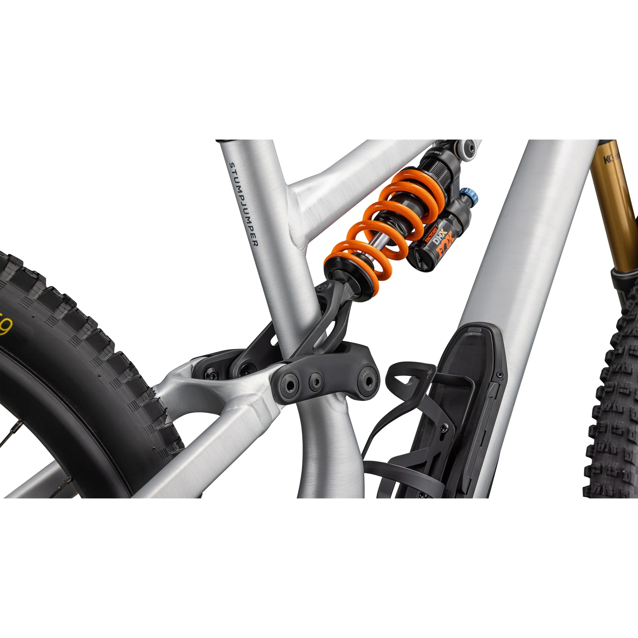 Stumpjumper 15 Fox Coil Alloy - Image 7