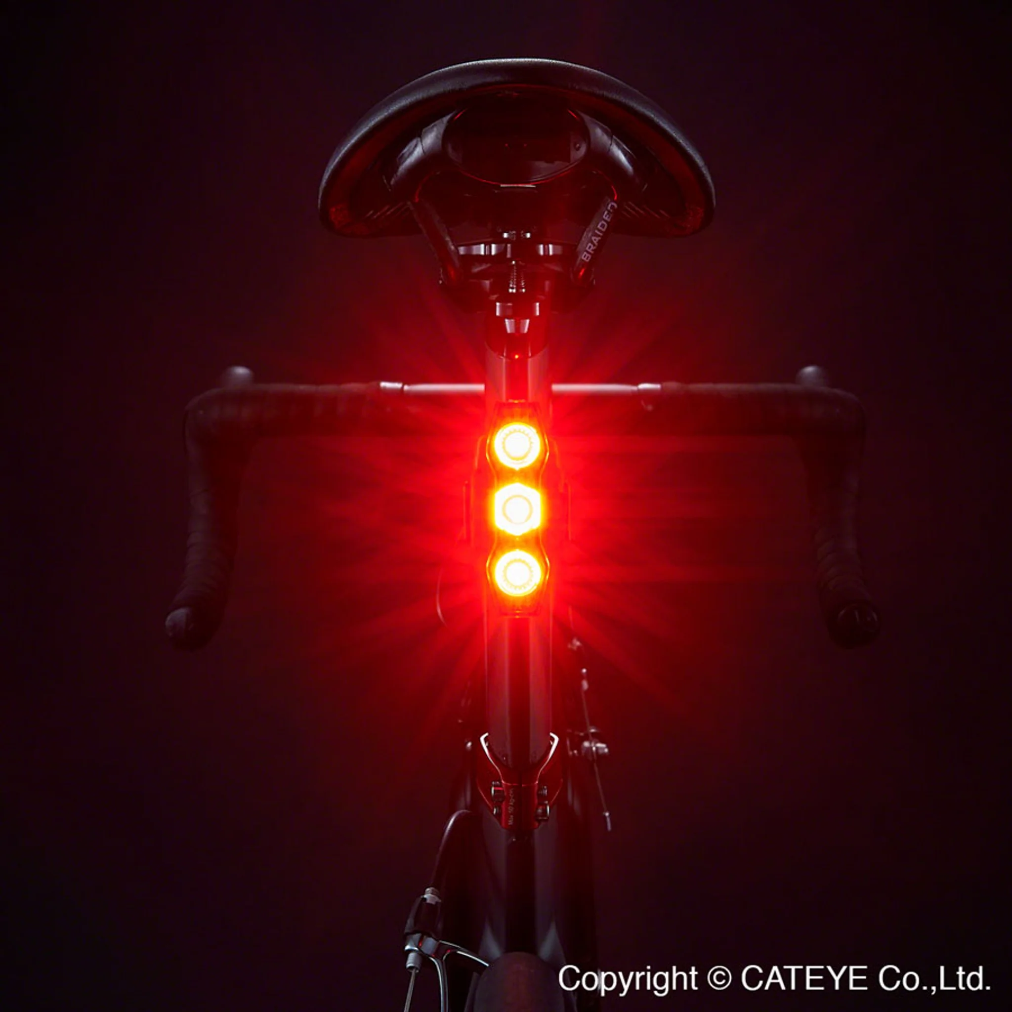 ViZ450 Taillight - Image 2