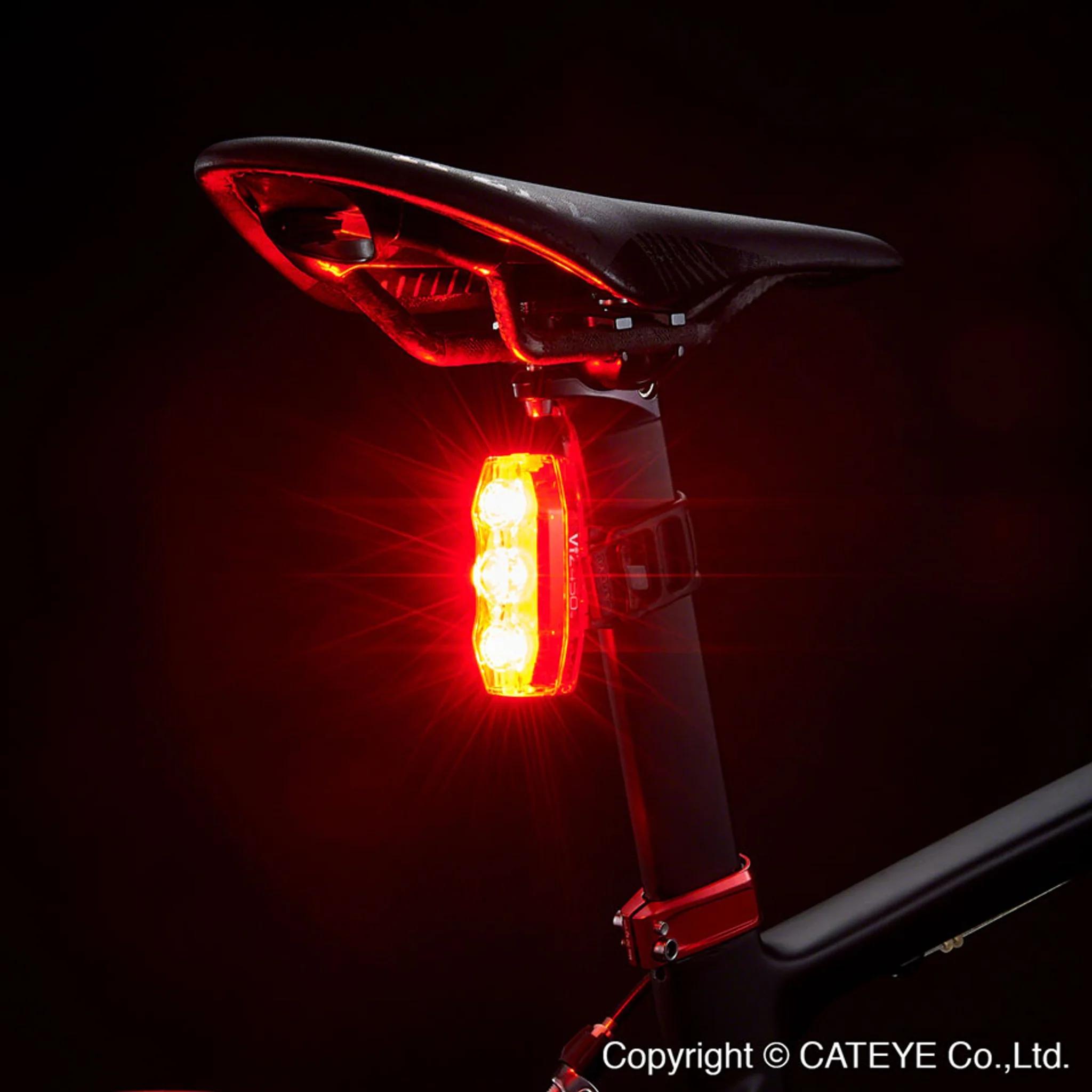ViZ450 Taillight - Image 3