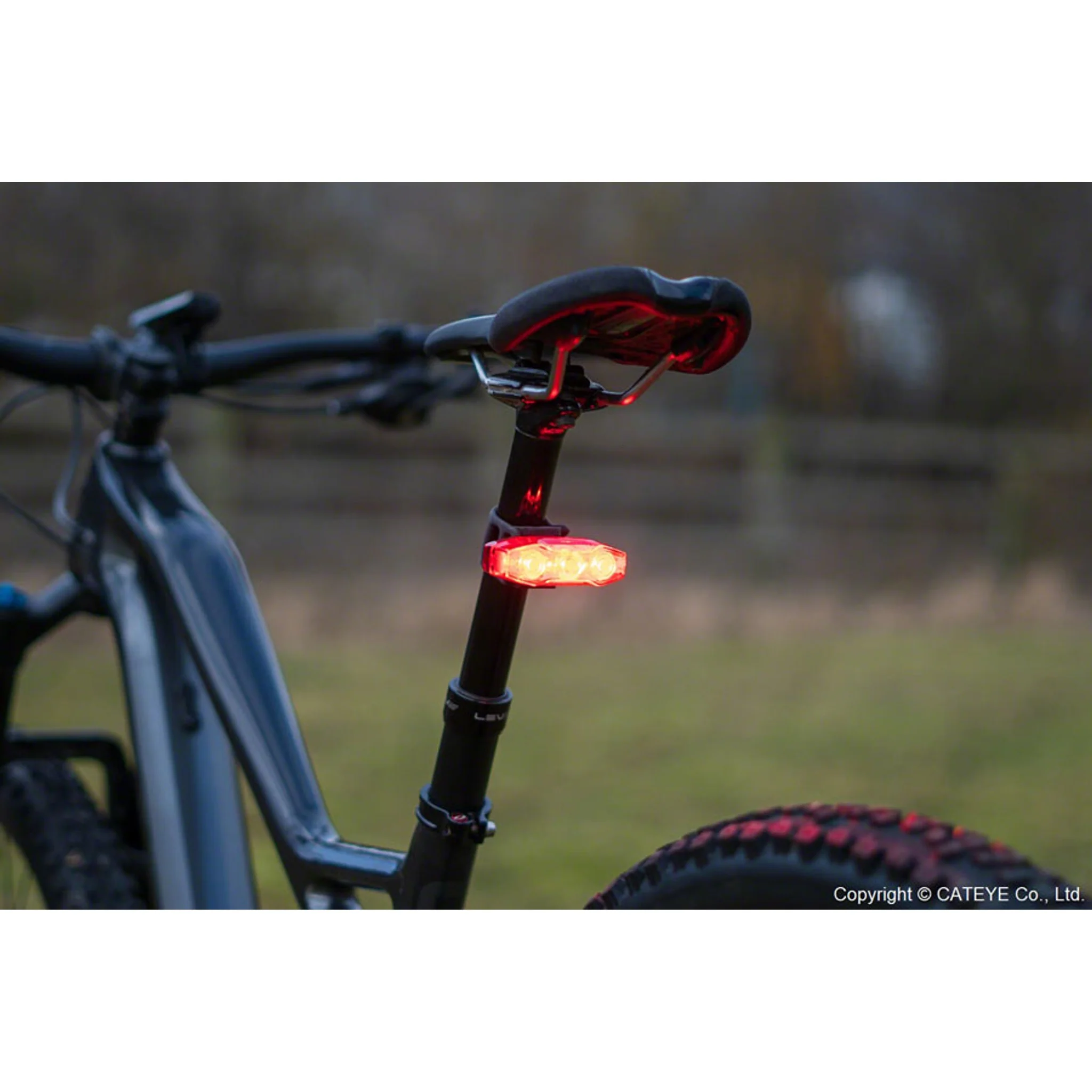 ViZ450 Taillight - Image 9